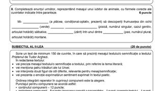 Model subiecte Romana Evaluare Nationala 2024 -pag 8