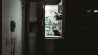 conserva peste, conserve, frigider, mancare 