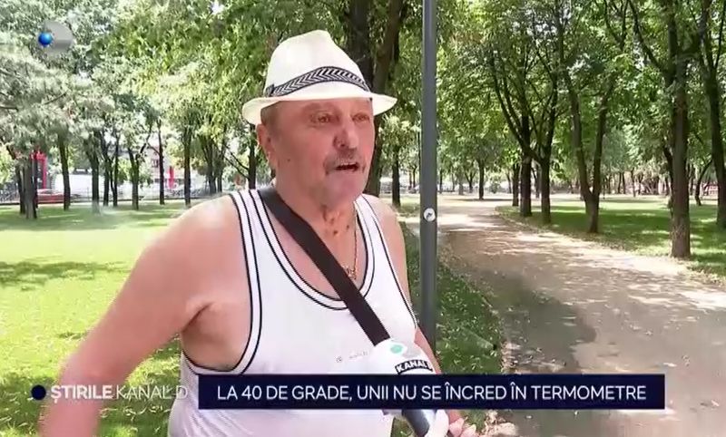 canicula, cod galben, anm 