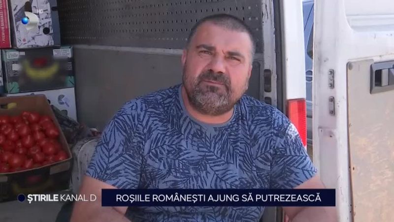 rosii, legume, program tomata