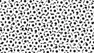 TEST de atenție distributivă: Găsește ursul panda printre mingile de fotbal în cel mult 8 secunde