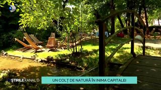 VIDEO Un colț de natură în inima Bucureștiului! Oamenii se pot bucura de răcoare