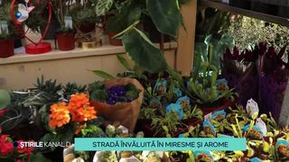VIDEO Strada &icirc;nvăluită &icirc;n miresme și arome! &Icirc;n Cluj-Napoca a avut loc un t&acirc;rg de flori