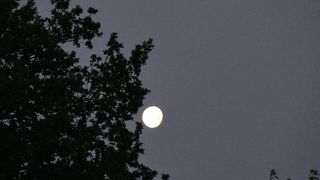 Luna &icirc;n descreștere este faza care urmează după Luna Plină și precede Luna Nouă. 