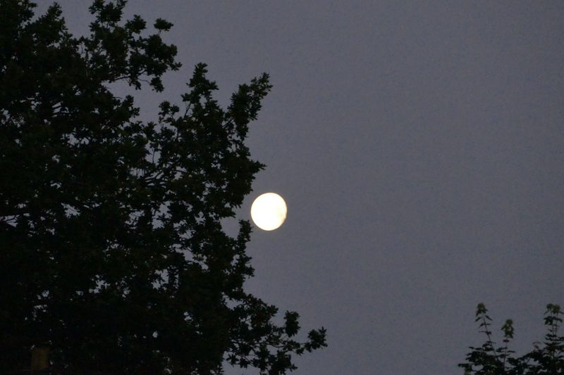 Luna în descreștere este faza care urmează după Luna Plină și precede Luna Nouă. 