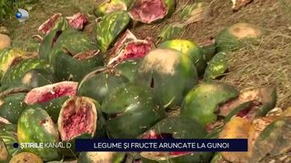 Pepeni aruncați pe c&acirc;mp