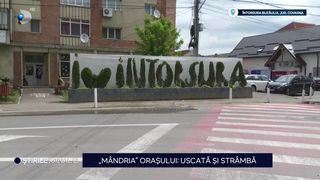 VIDEO &bdquo;M&acirc;ndria&rdquo; orașului uscată și str&acirc;mbă! Ornamentul din &Icirc;ntorsura Buzăului este criticat de mai mulți locuitori