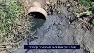 VIDEO Dejecții deversate în grădini și culturi! Locuitorii dintr-o comună din Galați nu mai știu ce să facă
