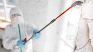 Românii din vestul țării, în pericol! Medicii trag un semnal de alarmă. Boala care îi pândește, din cauza bacteriei descoperită în aer