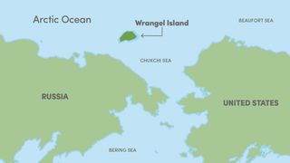 Istoria tristă a mamuților