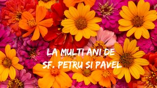Mesaje de Sf. Petru și Pavel 2024