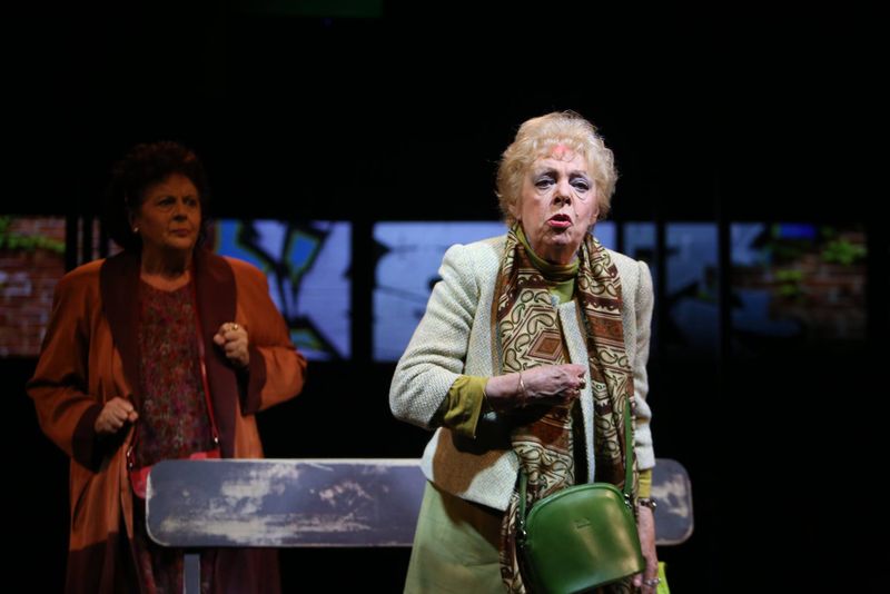 Ileana Stana Ionescu, o viață închinată teatrului