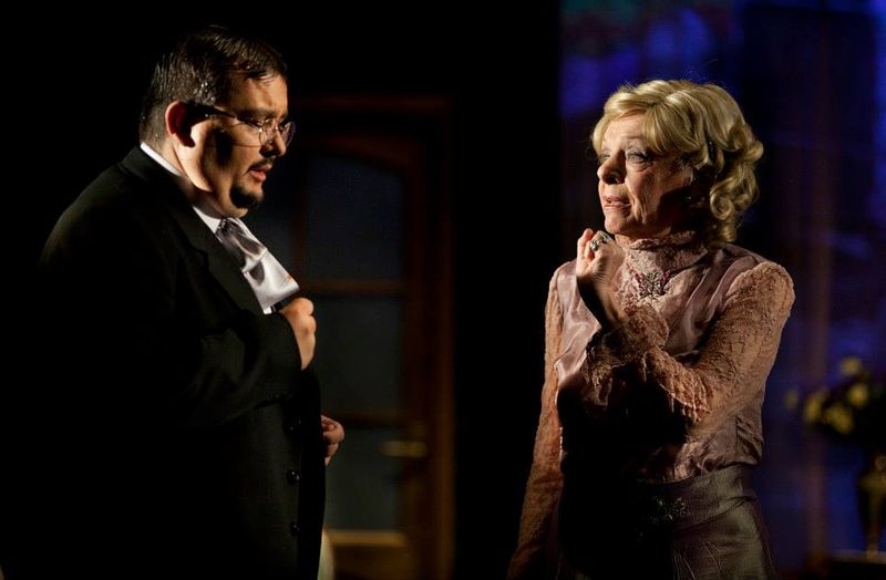 Ileana Stana Ionescu, o viață închinată teatrului