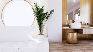 Care sunt primele 3 lucruri de luat &icirc;n considerare pentru a crea o baie funcțională?