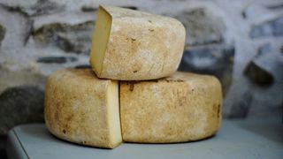 inspectorii dsp, lactate, piata, intoxicatie 