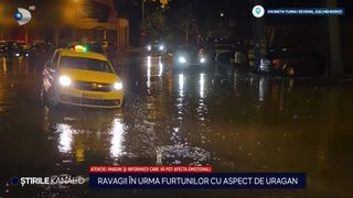 padure, furtuna, cod portocaliu 