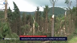 VIDEO Ravagii în urma furtunilor cu aspect de uragan! Un cioban a murit după ce a fost trăsnit și o întreagă pădure a fost pusă la pământ
