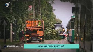VIDEO Pagube după furtuna de aseară: copaci căzuți, șosele inundate