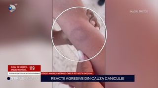 muscatura, turisti, canicula, navodari