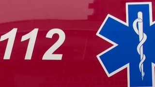 baiat mort, insecticid, solutie purici, ancheta