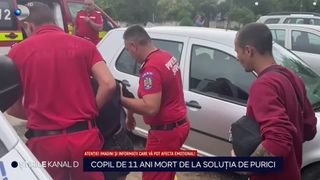 baiat mort, insecticid, solutie purici, ancheta 