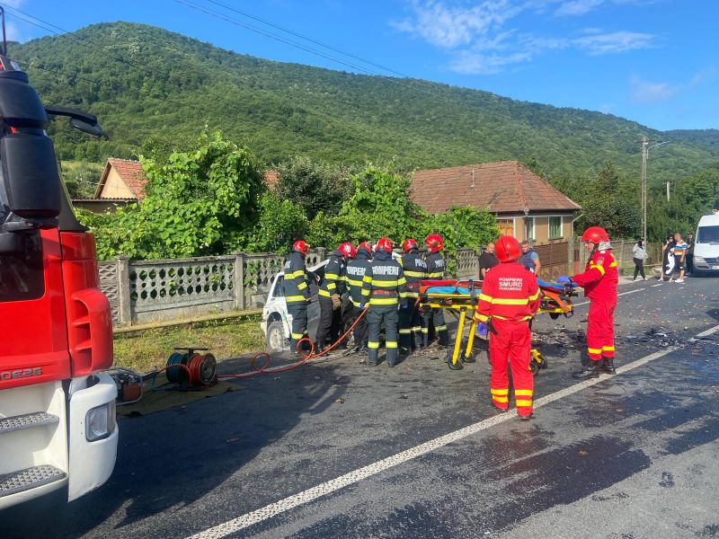 accident hunedoara, accident DN7, sofer baut, adolescent ranit 