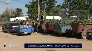 pepene rosu, fructe, agricultori