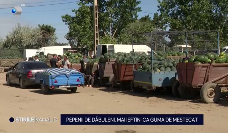 pepene rosu, fructe, agricultori