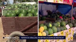 pepene rosu, fructe, agricultori