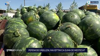 pepene rosu, fructe, agricultori