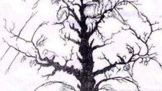 C&acirc;te fețe vezi &icirc;n imagine? Ești un geniu dacă reușești să le observi pe toate