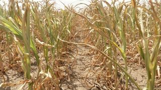 Duminică, la Asta-i Rom&acirc;nia! Schimbările climatice riscă să transforme zone &icirc;ntregi din țara noastră &icirc;n deșert