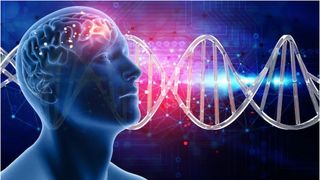 A fost descoperit mecanismul din spatele durerilor de cap. Noile medicamente ar putea stopa migrenele