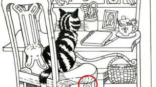 test iq, test atentie, melc 