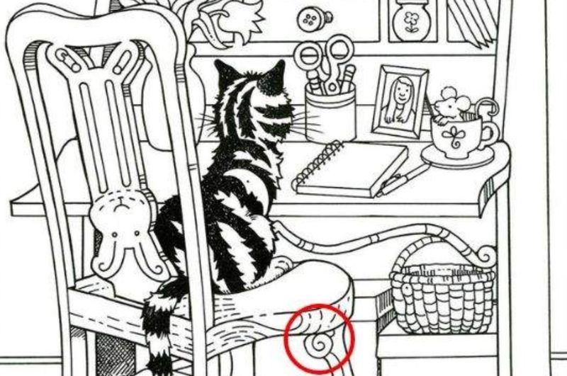 test iq, test atentie, melc 