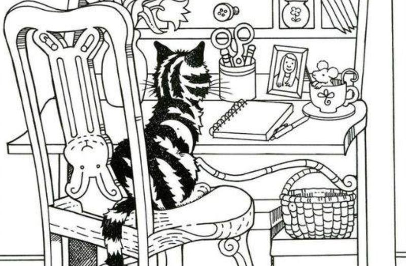 test iq, test atentie, melc 