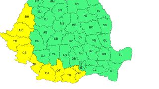 canicula, cod galben, anm 