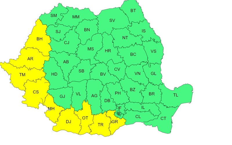 canicula, cod galben, anm 