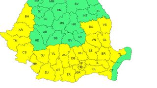 canicula, cod galben, anm 