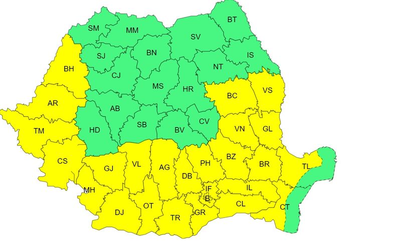 canicula, cod galben, anm 