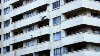 tragedie, sinucidere, copii ucisi