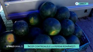 VIDEO Încep controalele la pepenii românești! De ce se fac aceste verificări?