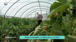VIDEO Unde e mai bine: la oraș sau la țară? Oamenii din mediul urban îi învidiază pe cei din zona rurală, reciproca fiind valabilă