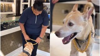 VIDEO O femeie din India i-a dăruit cățelului un lanț de aur de 4.000 de dolari. "Păzește-l bine de-acum!"