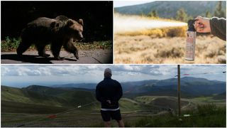 Cum te ferești de urși când mergi pe munte