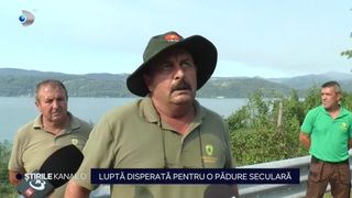 VIDEO Luptă disperată pentru o pădure seculară, care arde de o săptăm&acirc;nă. Oamenii se tem de ce e mai rău