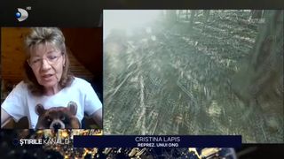 VIDEO Controversă națională: urșii, &icirc;n bătaia puștii. Ce spun mai marii țării. &Icirc;n scandal a intervenit și Klaus Iohannis