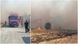 VIDEO Un azil de bătrâni din localitatea Poarta Albă, în pericol din cauza unui incendiu de vegetație. Ce au transmis autoritățile