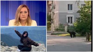 VIDEO Un urs a intrat în curtea Elenei Lasconi. Primarul orașului Câmpulung cere schimbarea legii după tragedia din Bucegi: "Haideți să rezolvăm problema"