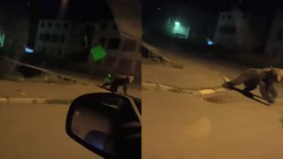 VIDEO Un urs a încercat să atace o mașină, la Bușteni. Filmarea în care animalul aleargă după autoturism a ajuns virală